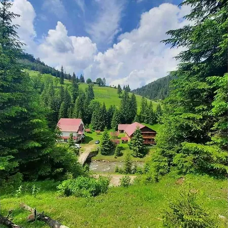 сімейний номер 1 у ані *