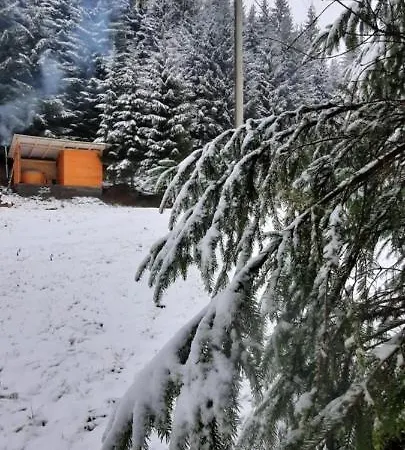 Апартаменты сімейний номер 1 у ані *