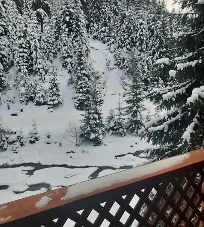 Апартаменты сімейний номер 1 у ані Синевирская Поляна