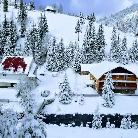 сімейний номер 1 у ані Синевирская Поляна