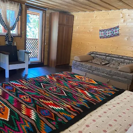 сімейний номер 1 у ані Апартаменты Синевирская Поляна