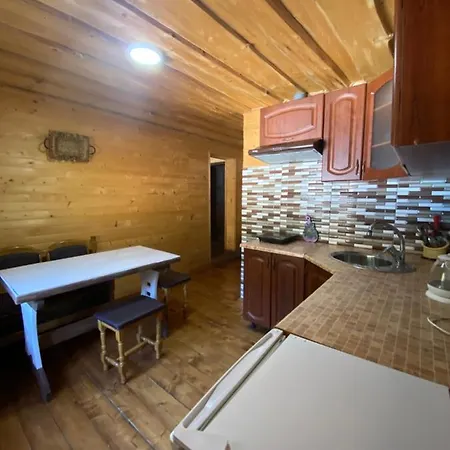 сімейний номер 1 у ані Апартаменты Синевирская Поляна