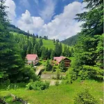 сімейний номер 1 у ані *
