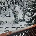 Apartment сімейний номер 1 у ані Synevyrs'ka Polyana
