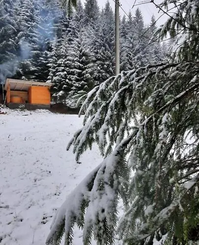 公寓 сімейний номер 1 у ані *